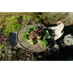 Kupilka Kaarna M - Planche à Découper-Original (Marron) -Magasin De Matériel De Camping kupilka kaarna m planche a decouper original marron 2